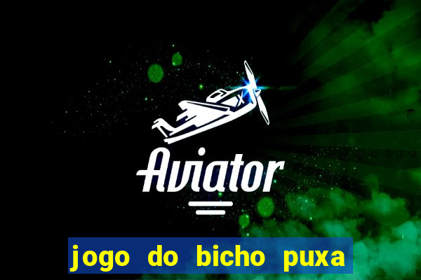 jogo do bicho puxa de dona maria